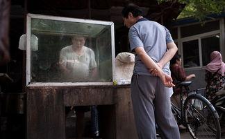 小片在线观看,揭秘网络短视频的魅力与影响  第3张