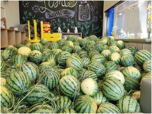 吃瓜最新免费,最新免费生成攻略大公开  第3张